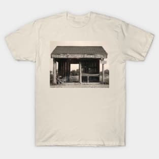 Potomac vegetable farm T-Shirt